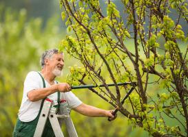 Ofrecidos Sin datos  DESMALEZAMIENTOS EL ALFA Y OMEGA.